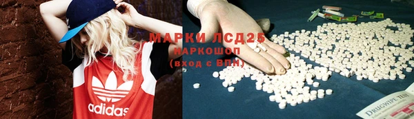 сатива Алзамай