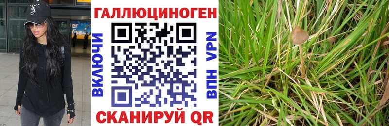 Псилоцибиновые грибы Magic Shrooms  Салават 