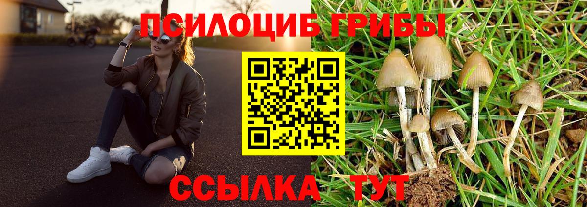 Галлюциногенные грибы мицелий Салават